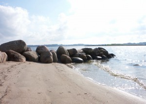 An der Schlei; Foto: Fred Häusler