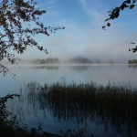 Morgen am Staffelsee 1; Foto: Fred Häusler