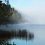 Morgen am Staffelsee 2; Foto: Fred Häusler