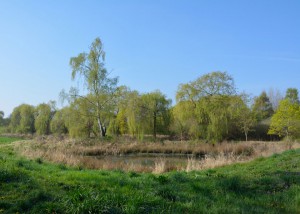 Mühlheim am Main; Foto:Fred Häusler